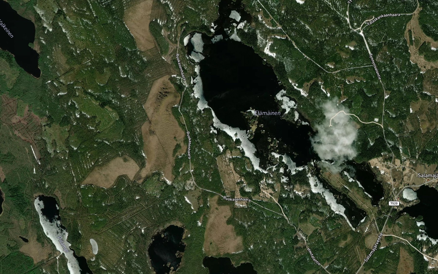 Satellite map of the Naurislahti