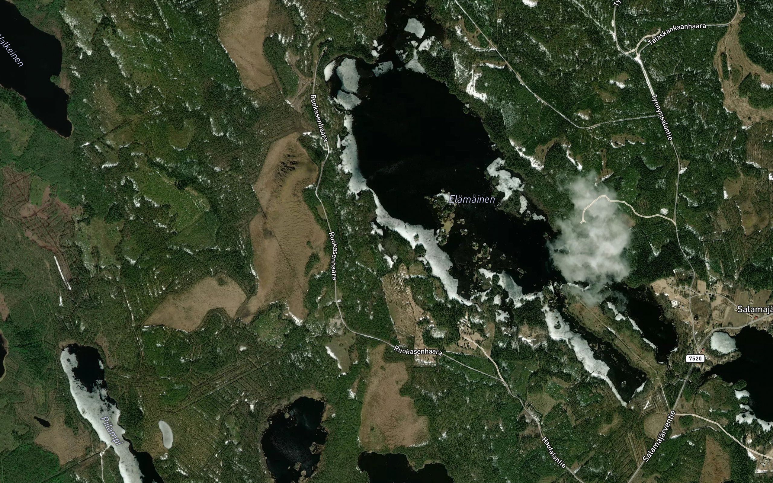 Naurislahti