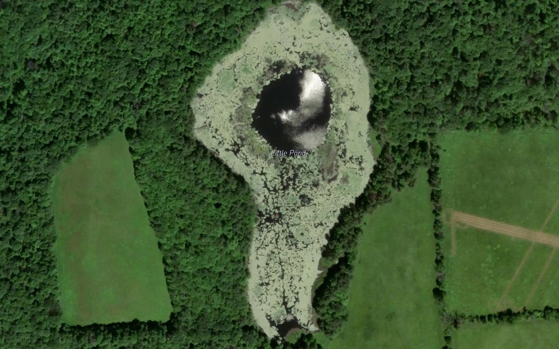 Satellite map of the Little Pond
