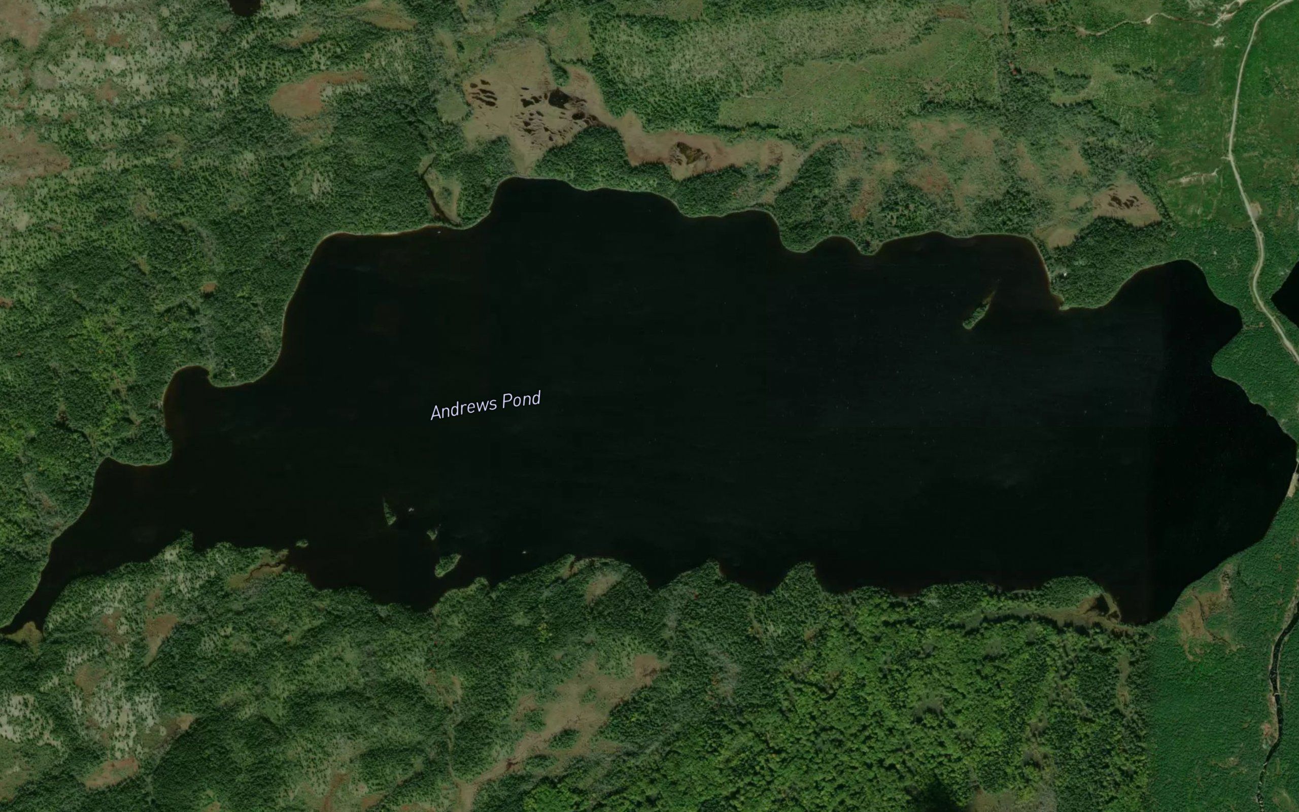 Andrews Pond