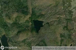 Lac Sorbus