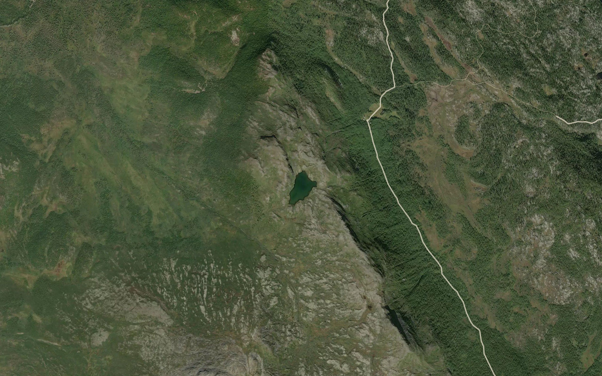 Tjornhotjorna