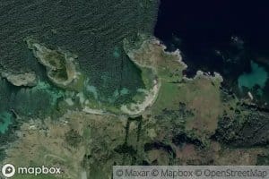 Hagevika