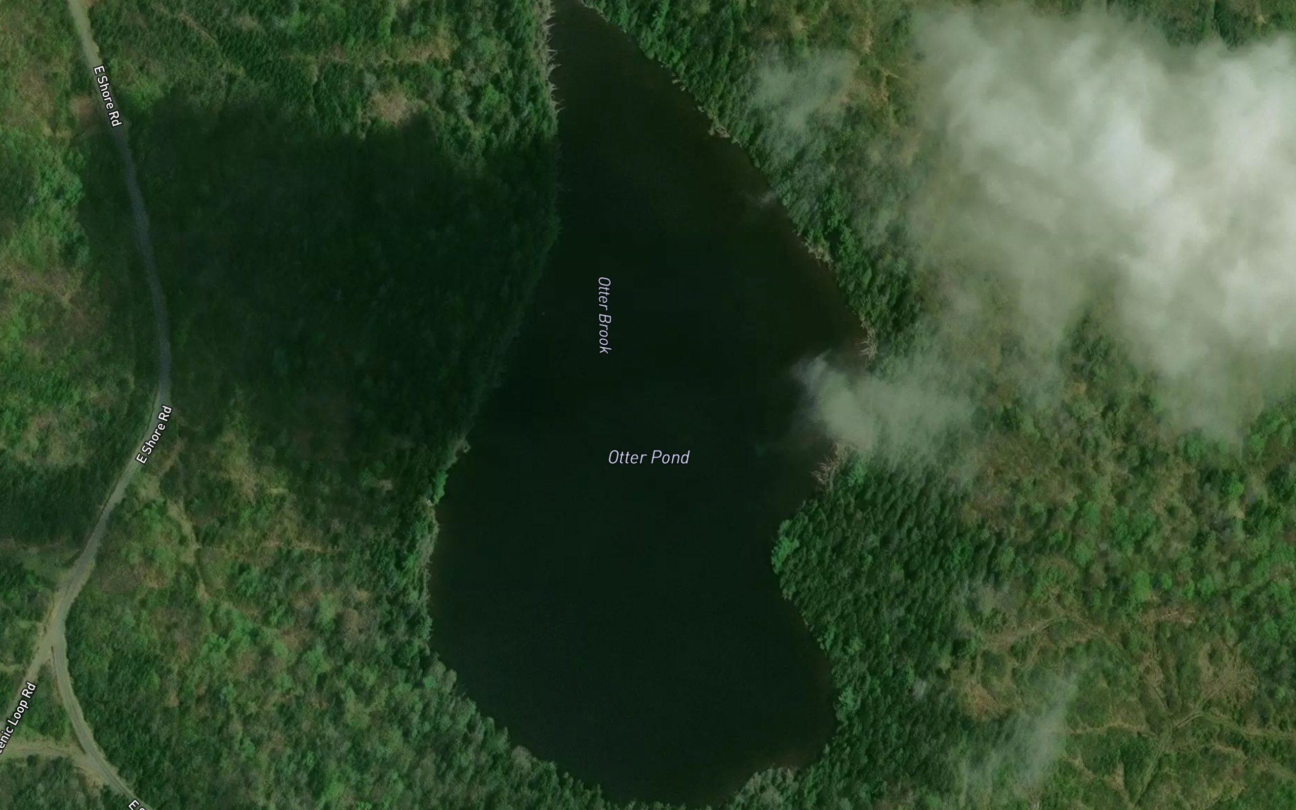 Otter Pond