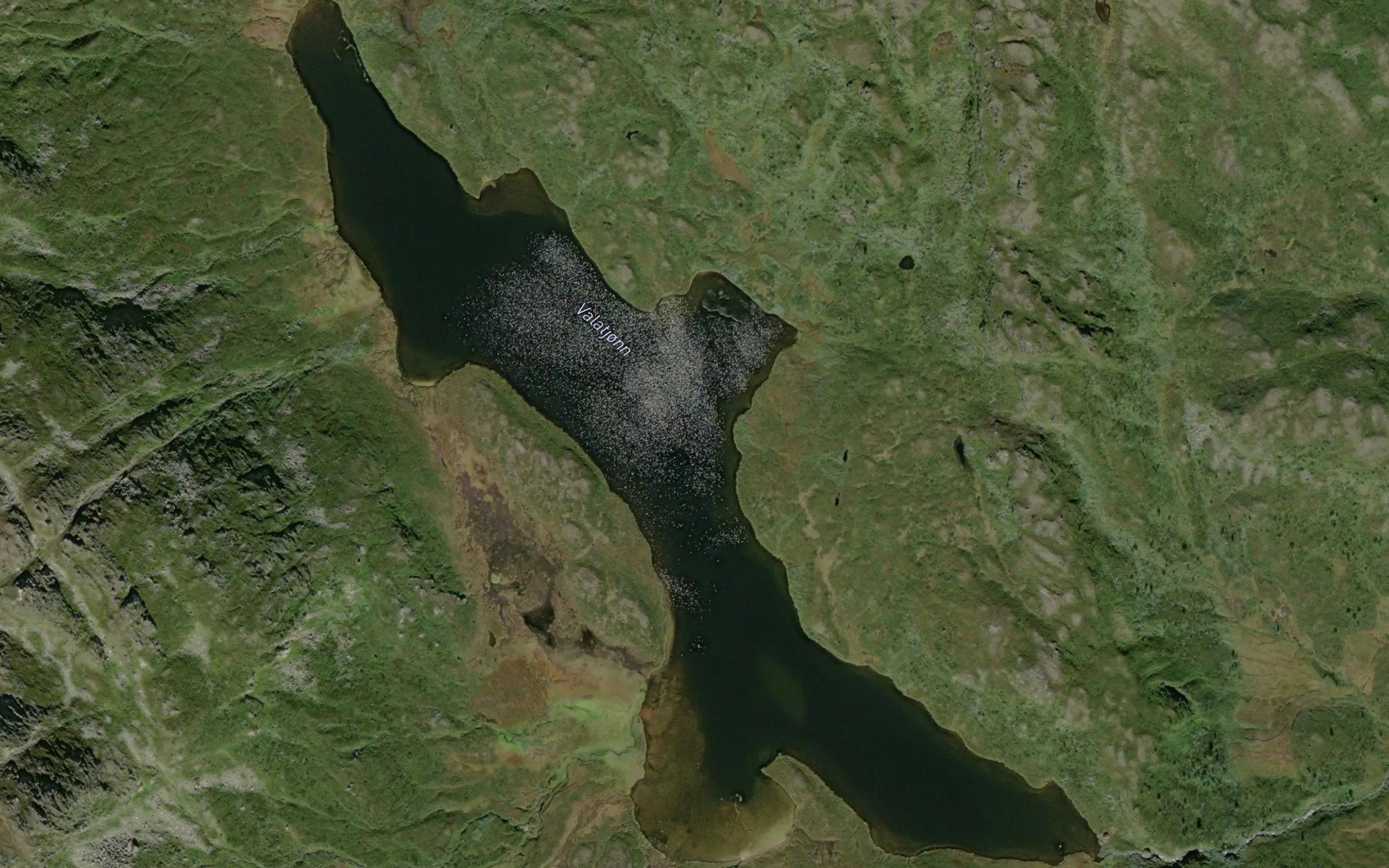 Valatjorn