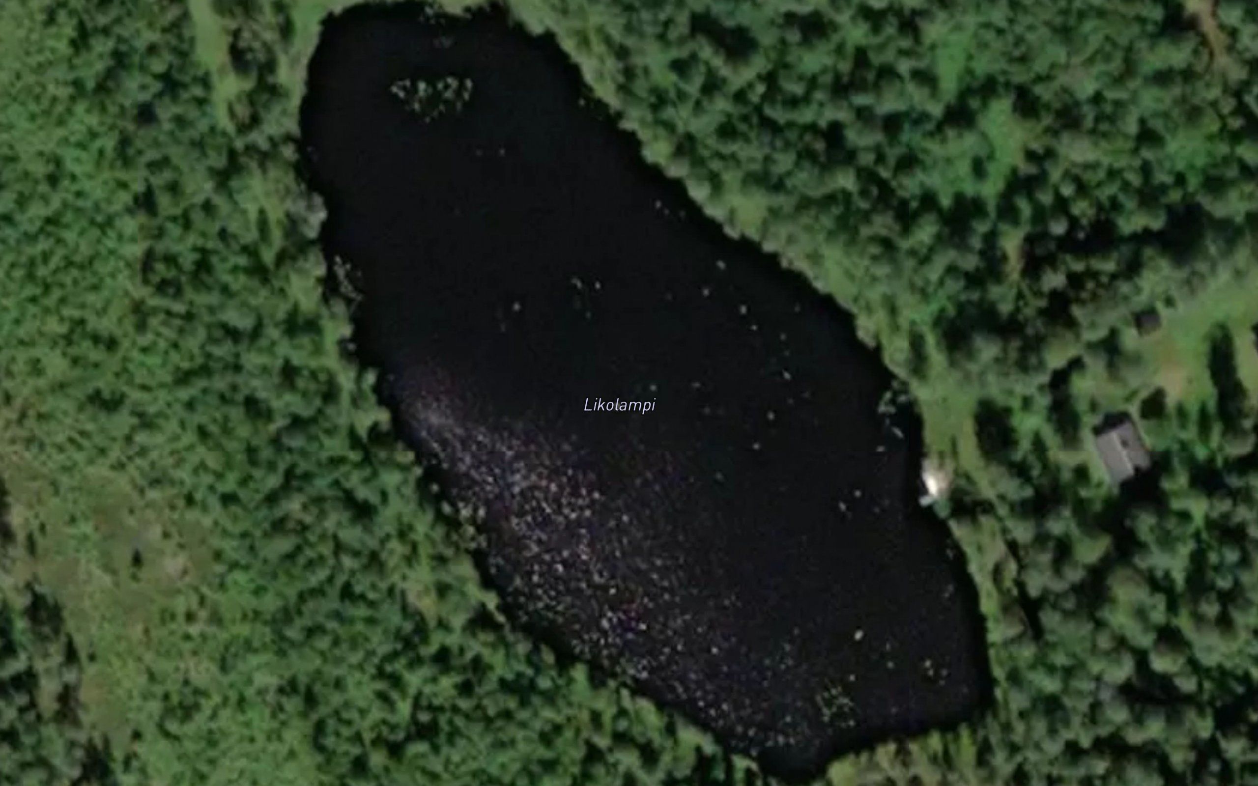 Likolampi