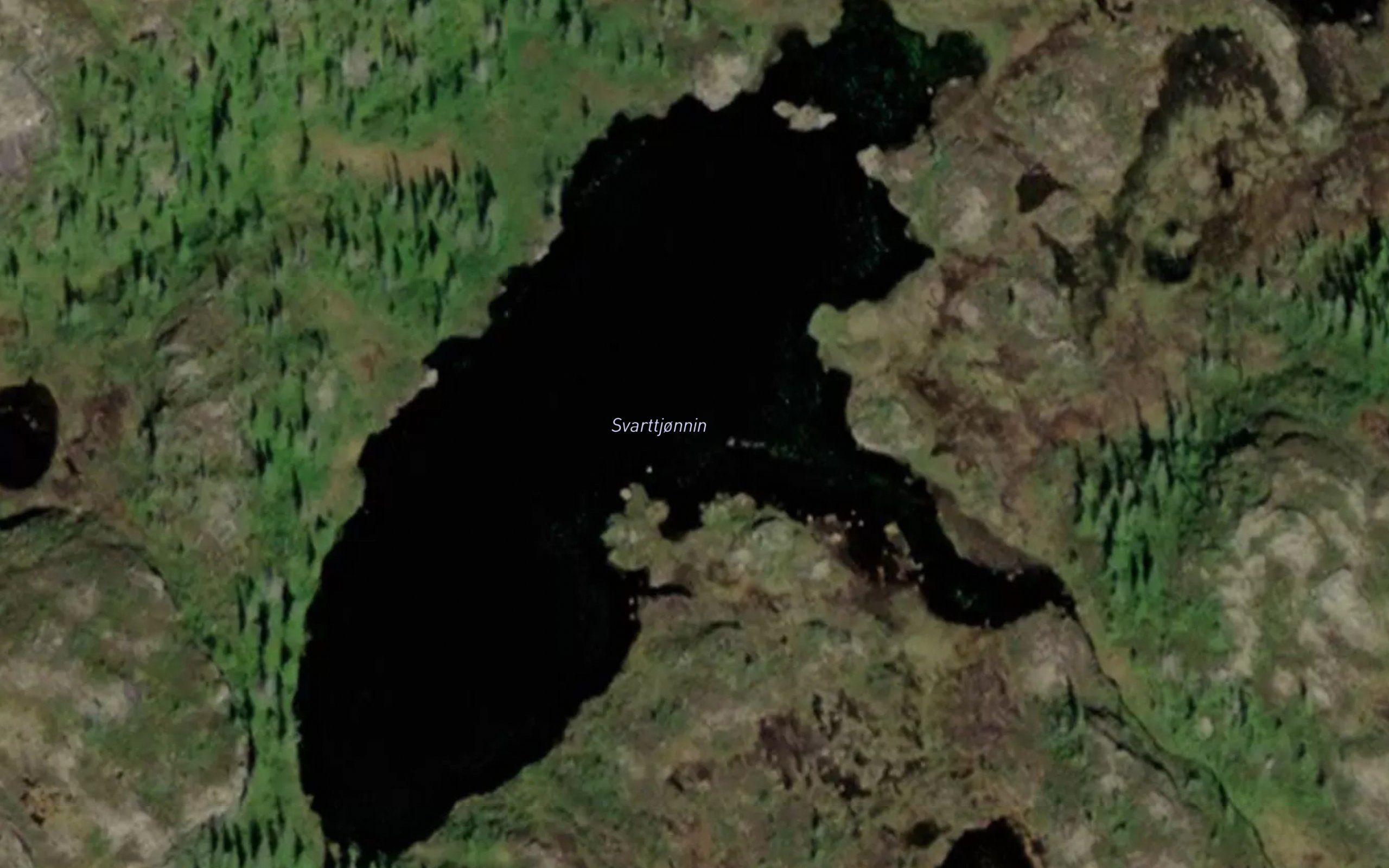 Svarttjornin