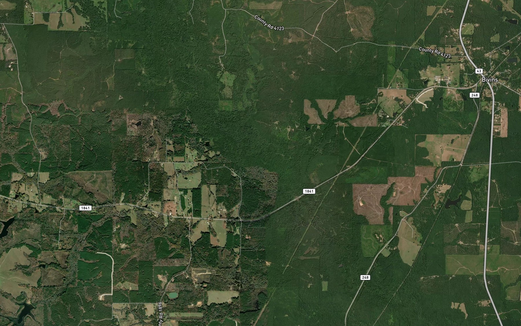 Satellite map of the Johns Creek