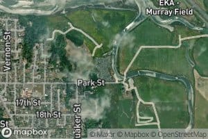 Dead Mouse Marsh