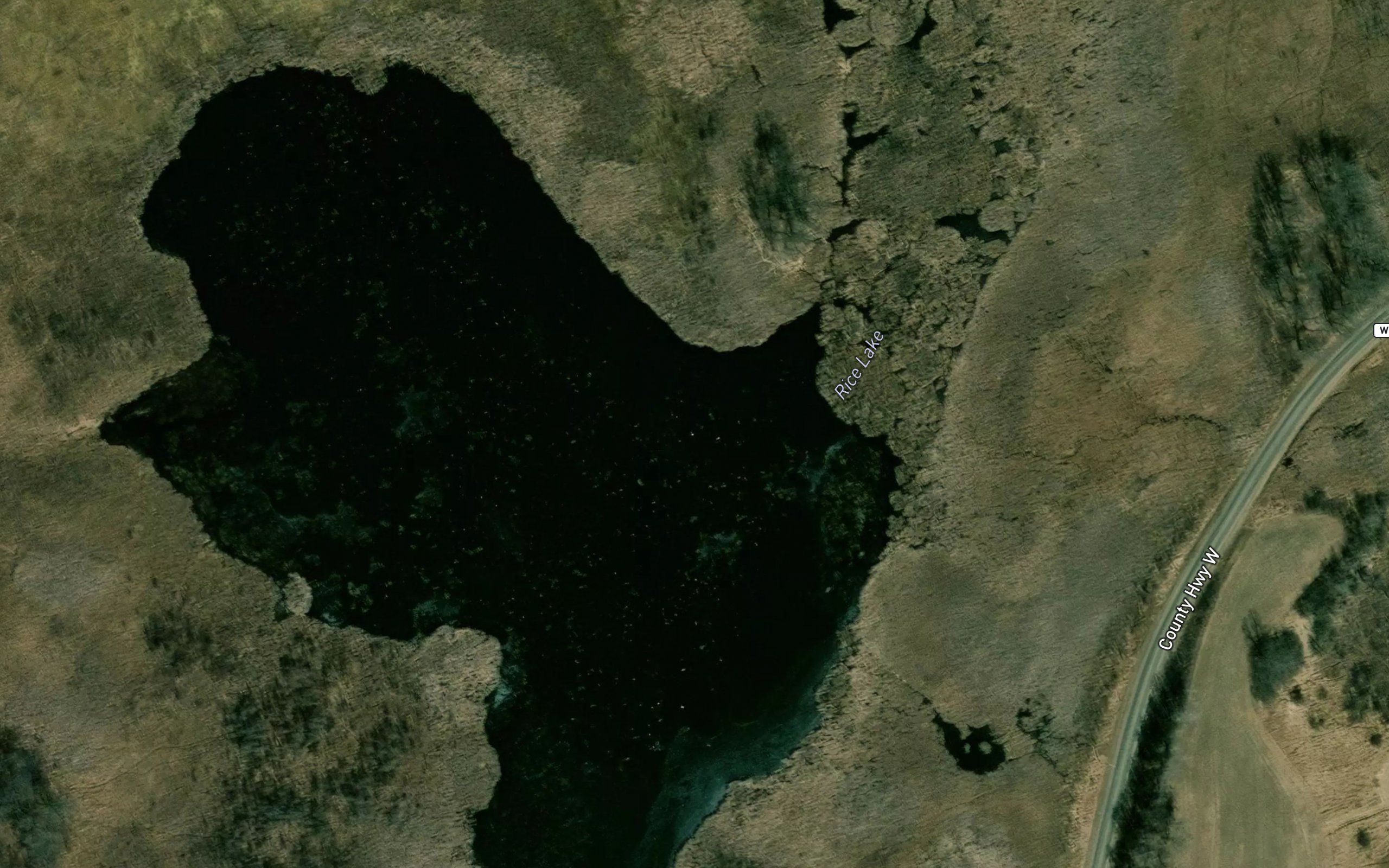 Rice Lake