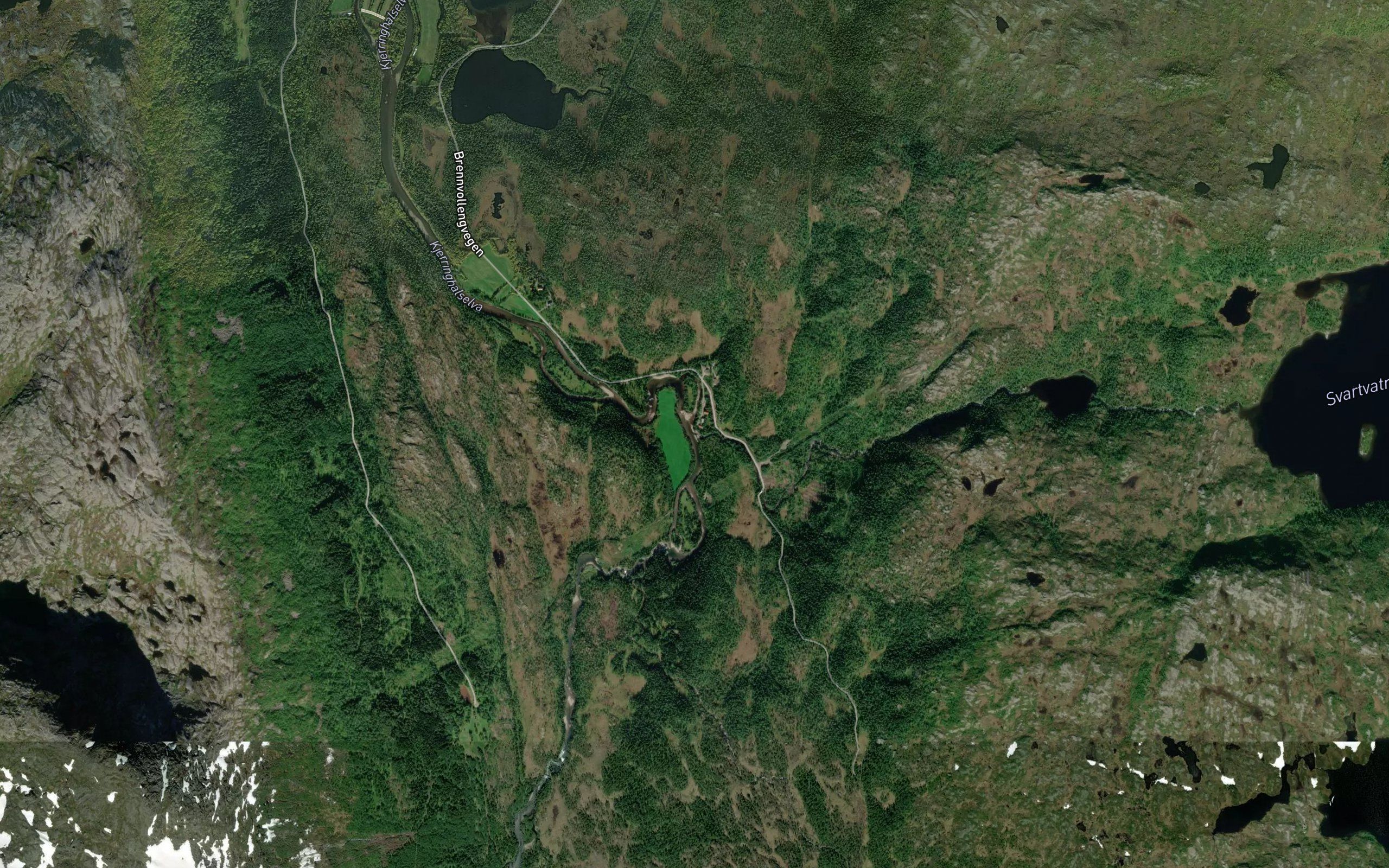 Svartvasselva