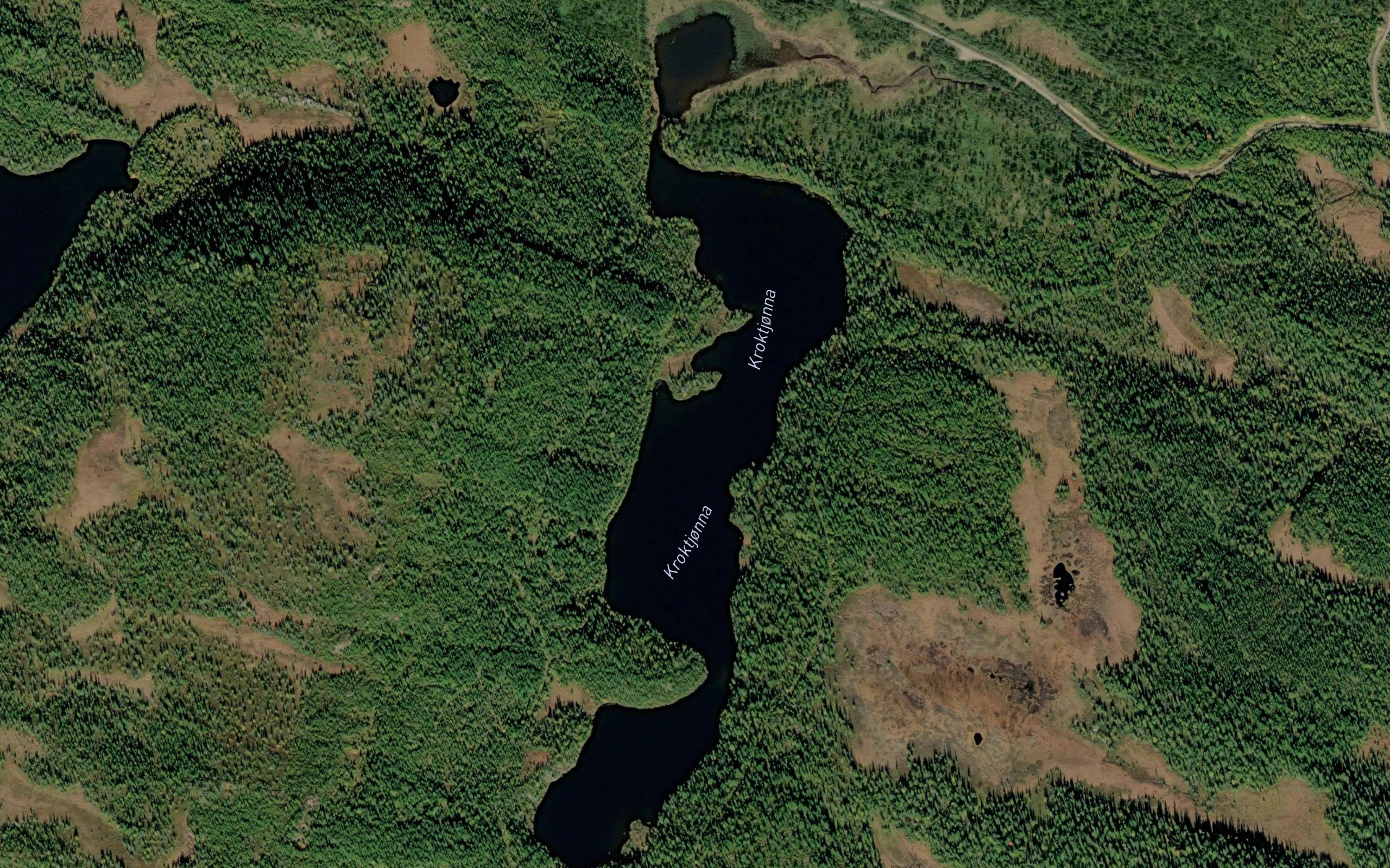 Kroktjorna
