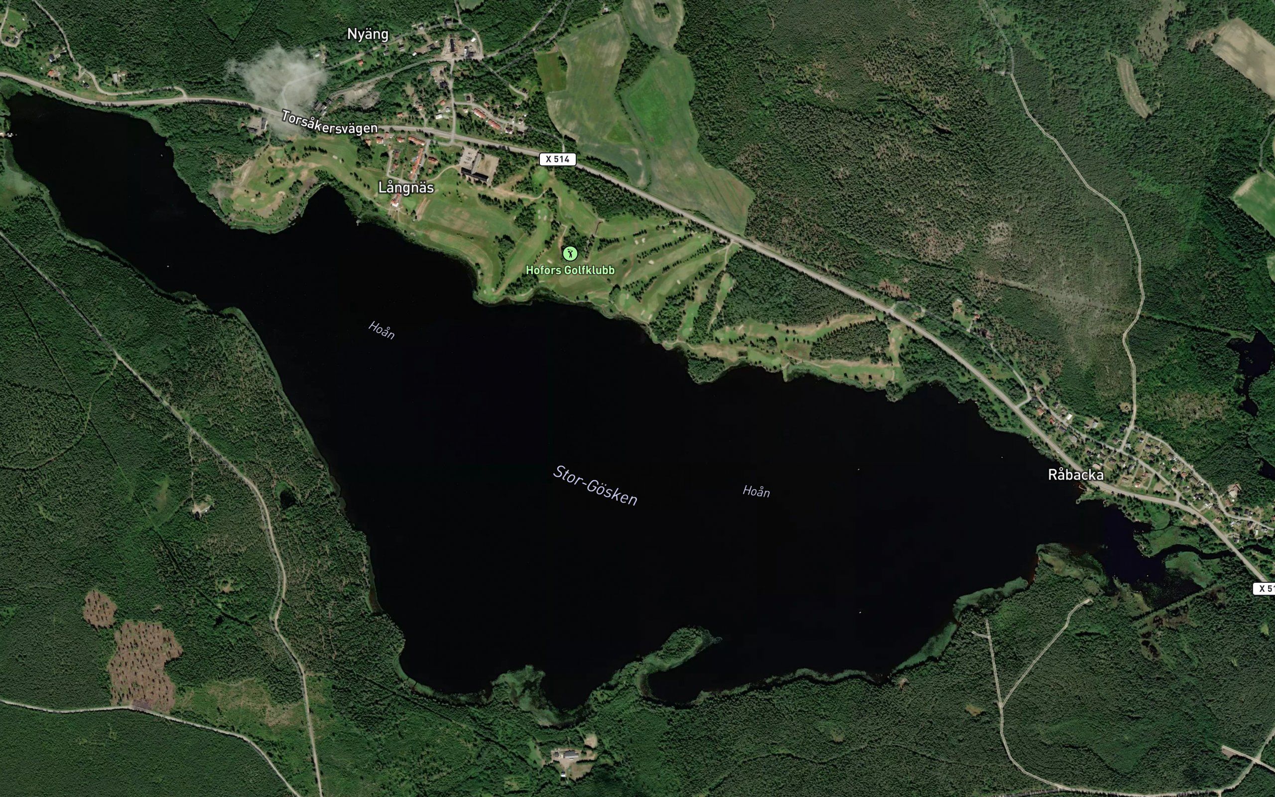 Stora Gosken