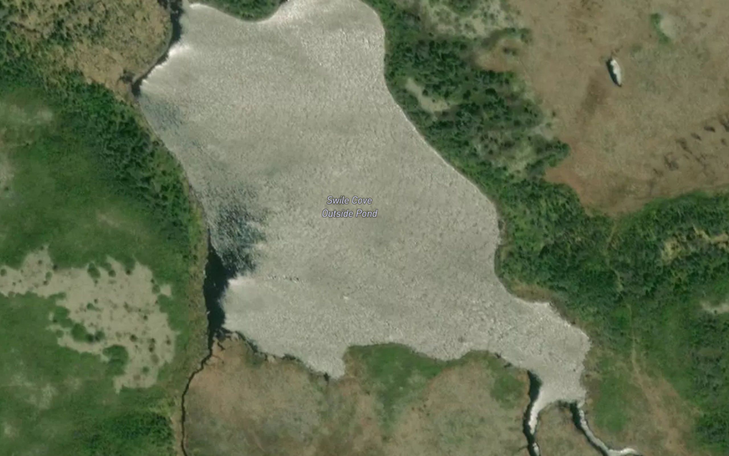Swile Cove Outside Pond