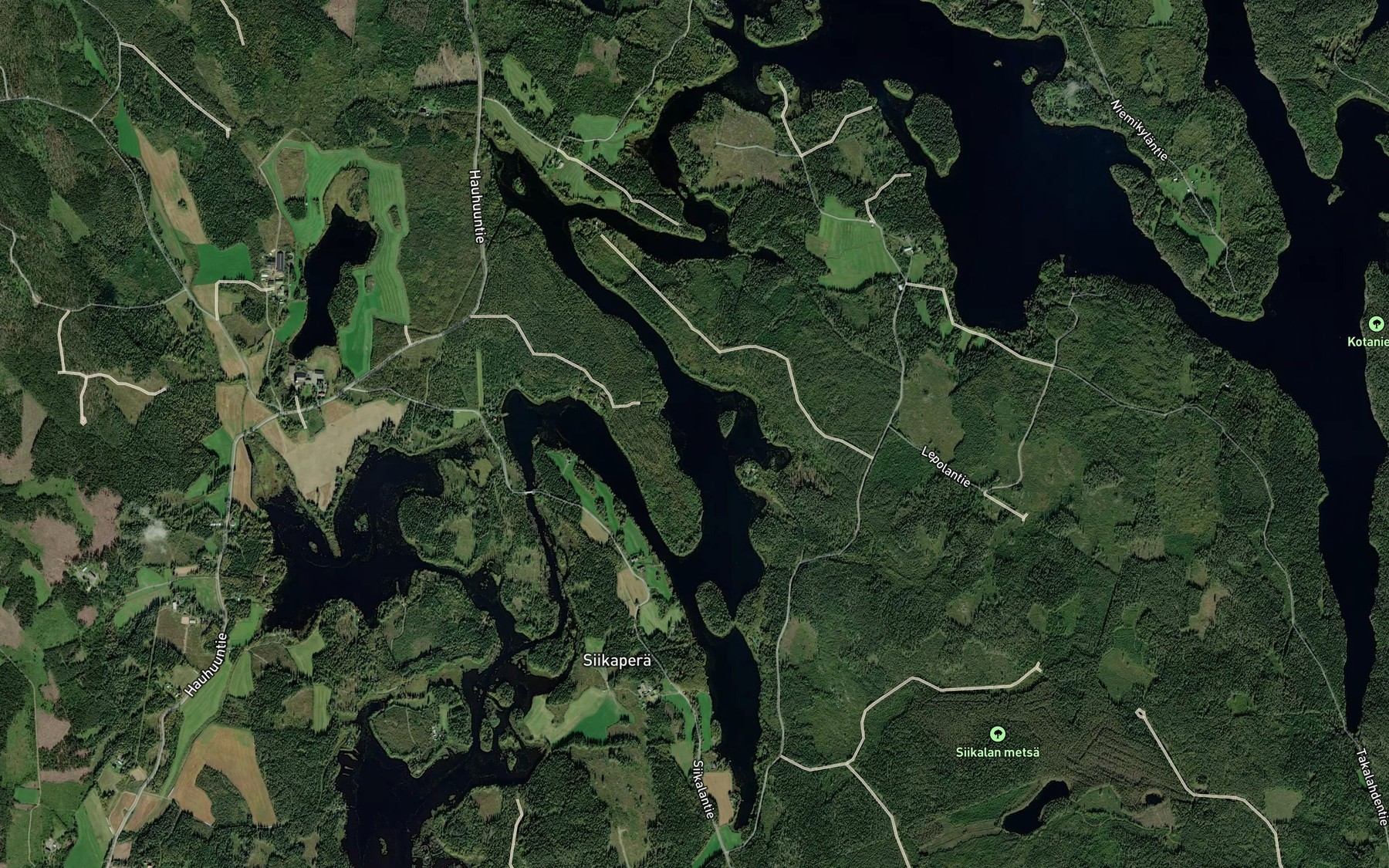 Satellite map of the Kauhaselka