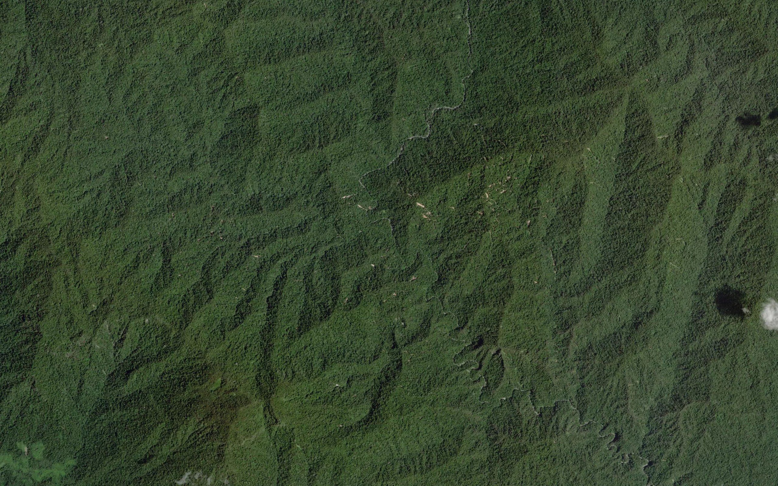 Dutuna Popaya