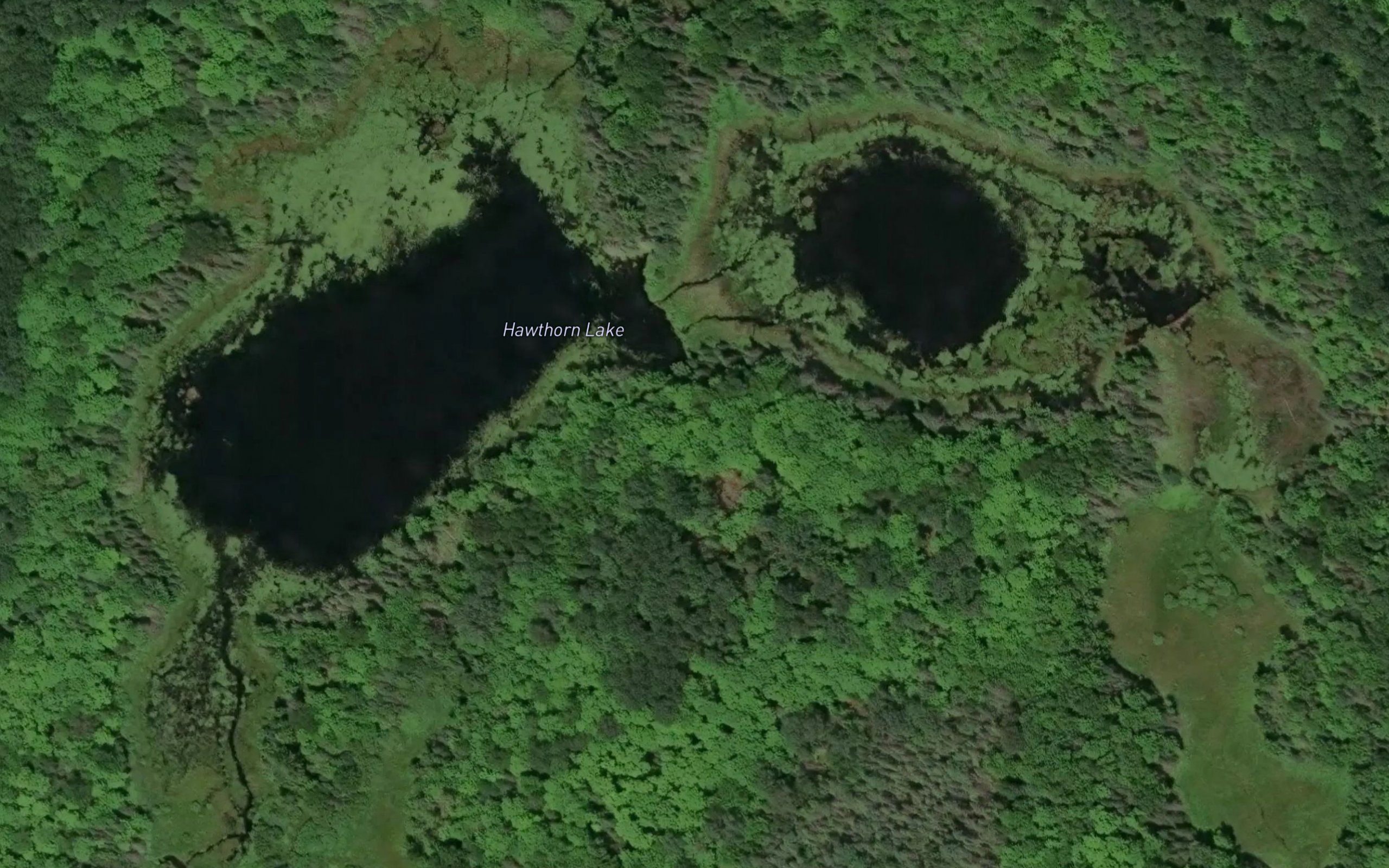 Hawthorn Lake