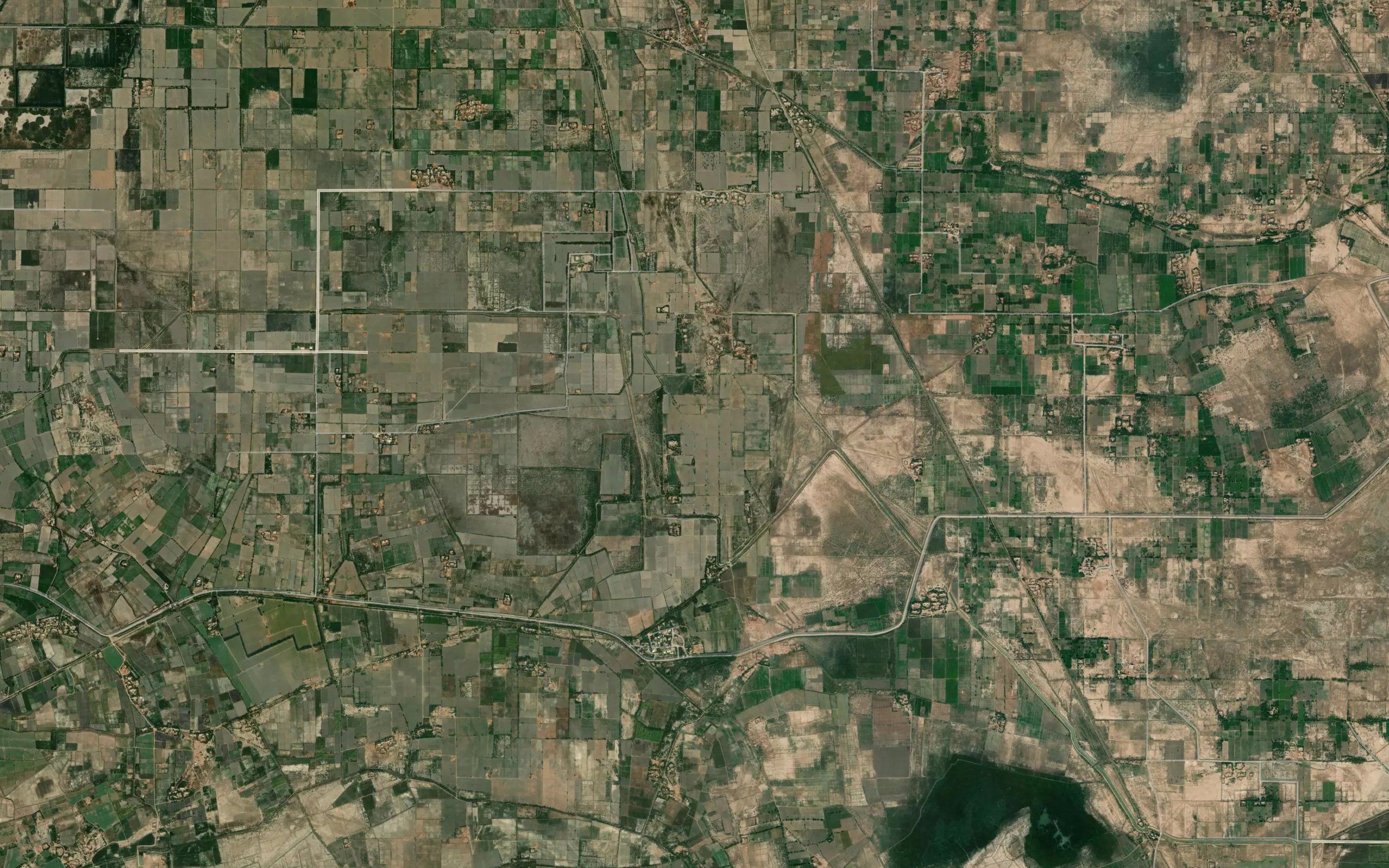 Bhuro Minor