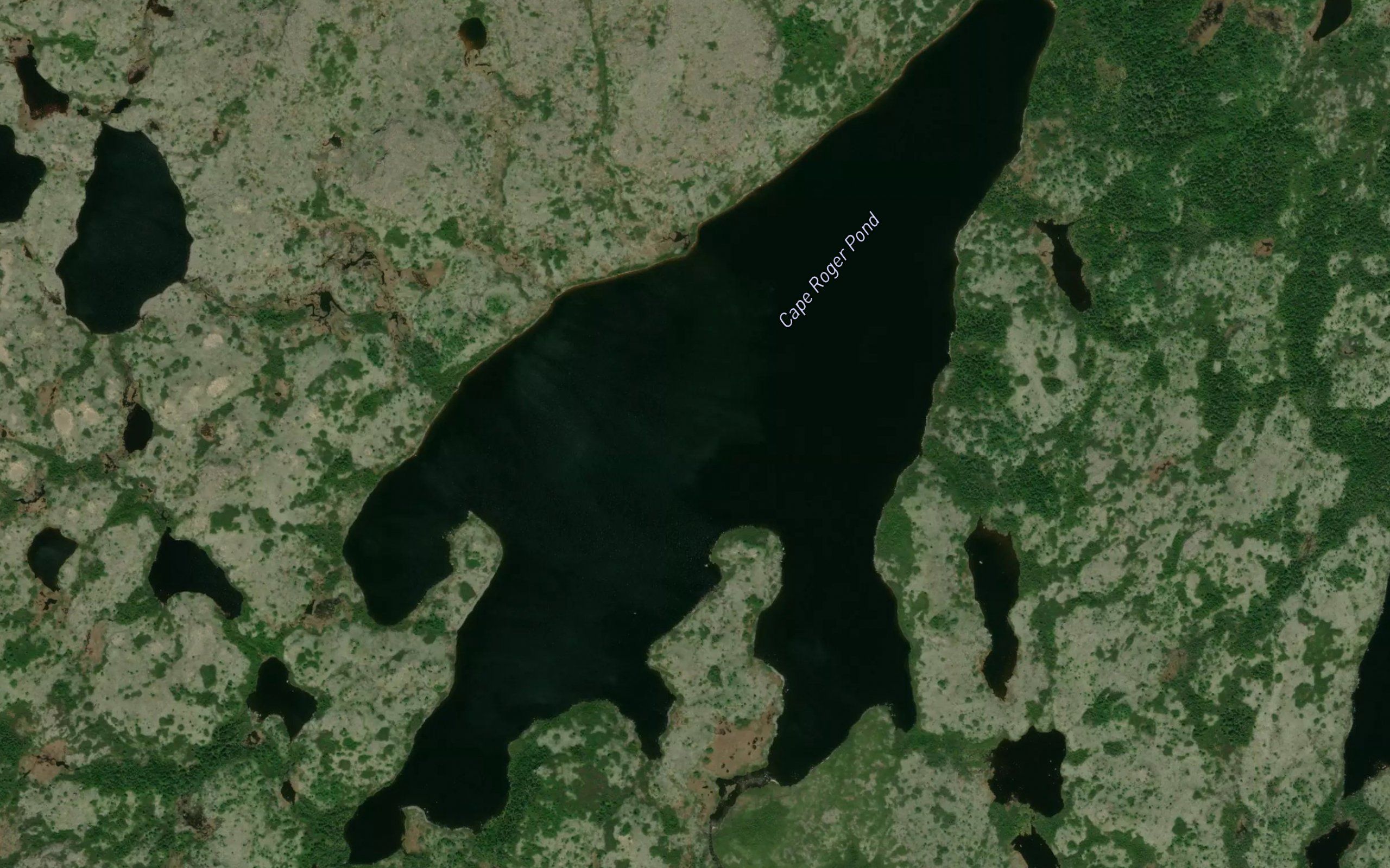Cape Roger Pond