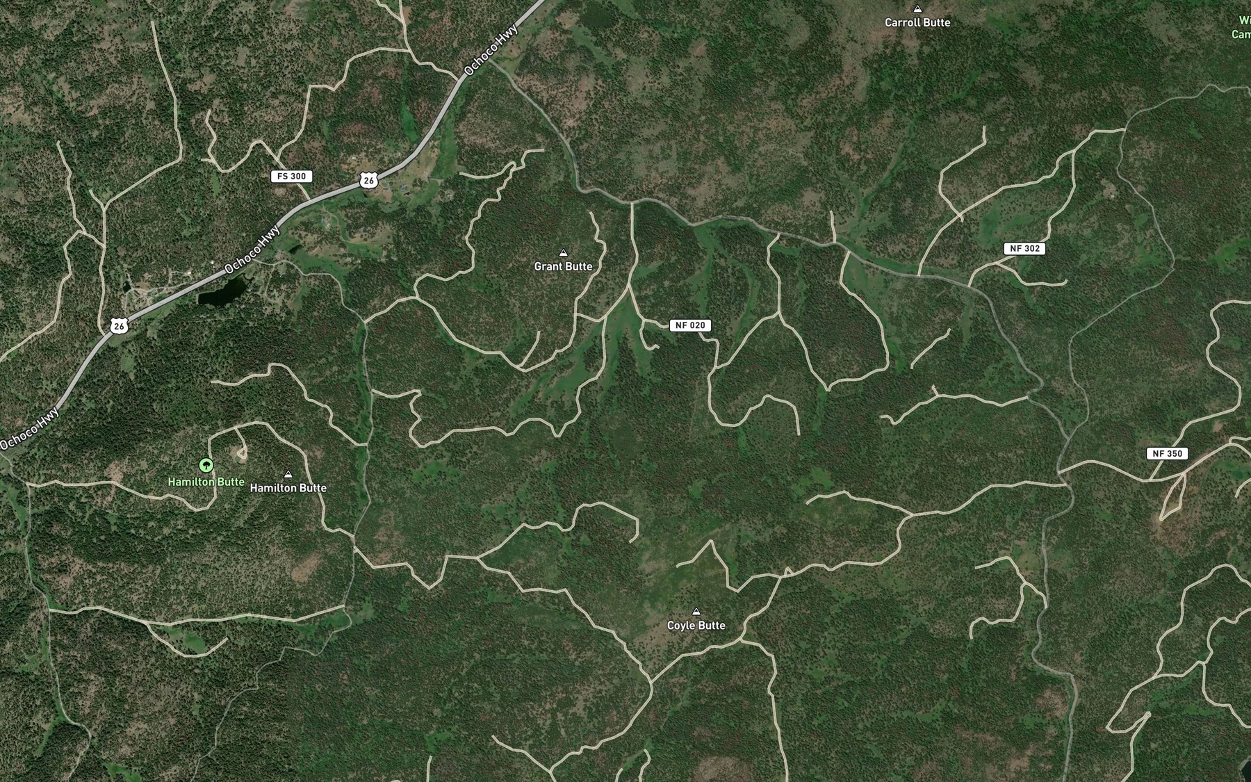 Satellite map of the Hamilton Spring