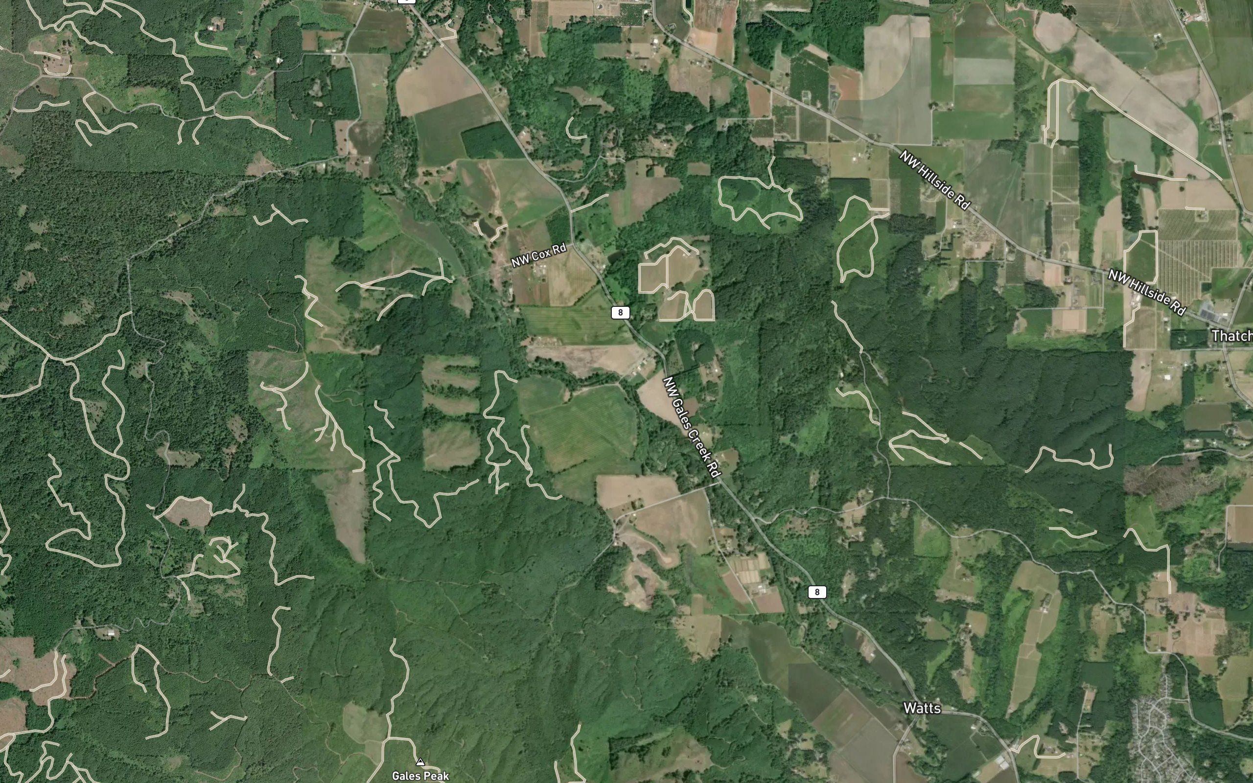 Kelly Creek