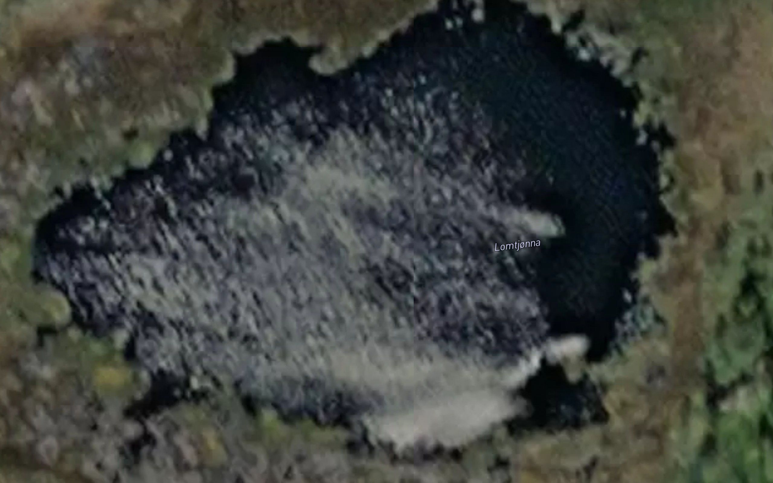 Lomtjonna
