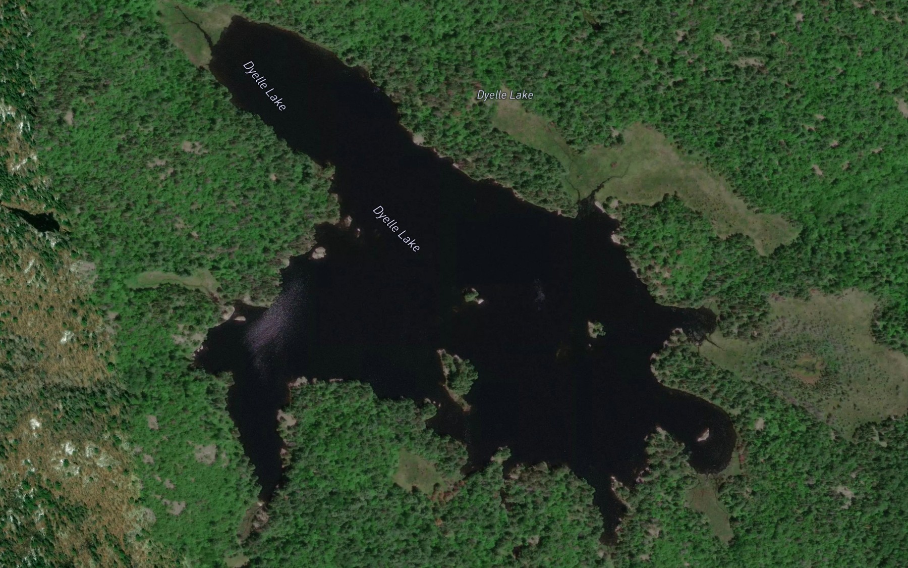 Satellite map of the Dyelle Lake