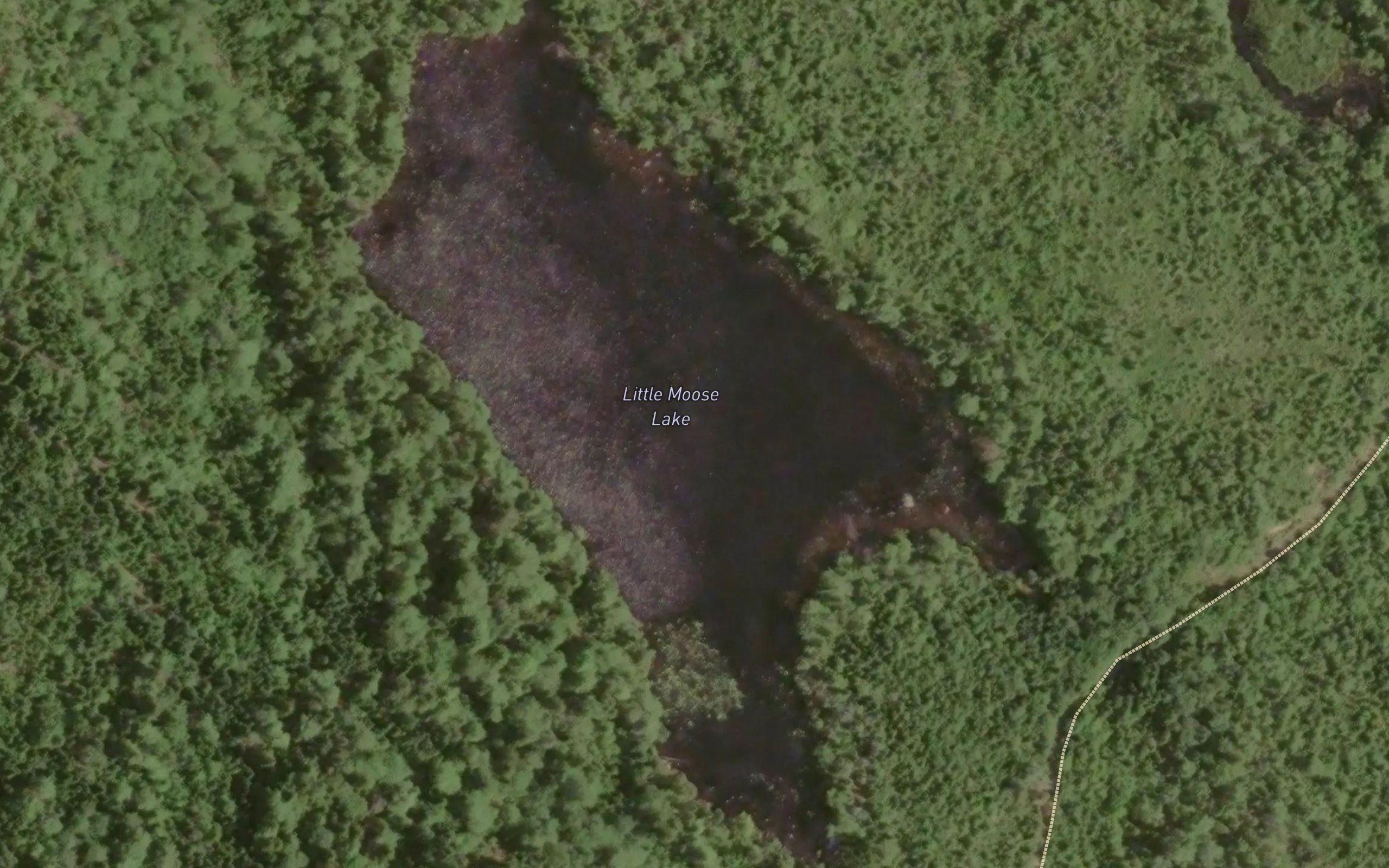 Little Moose Lake