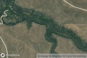 Field Creek