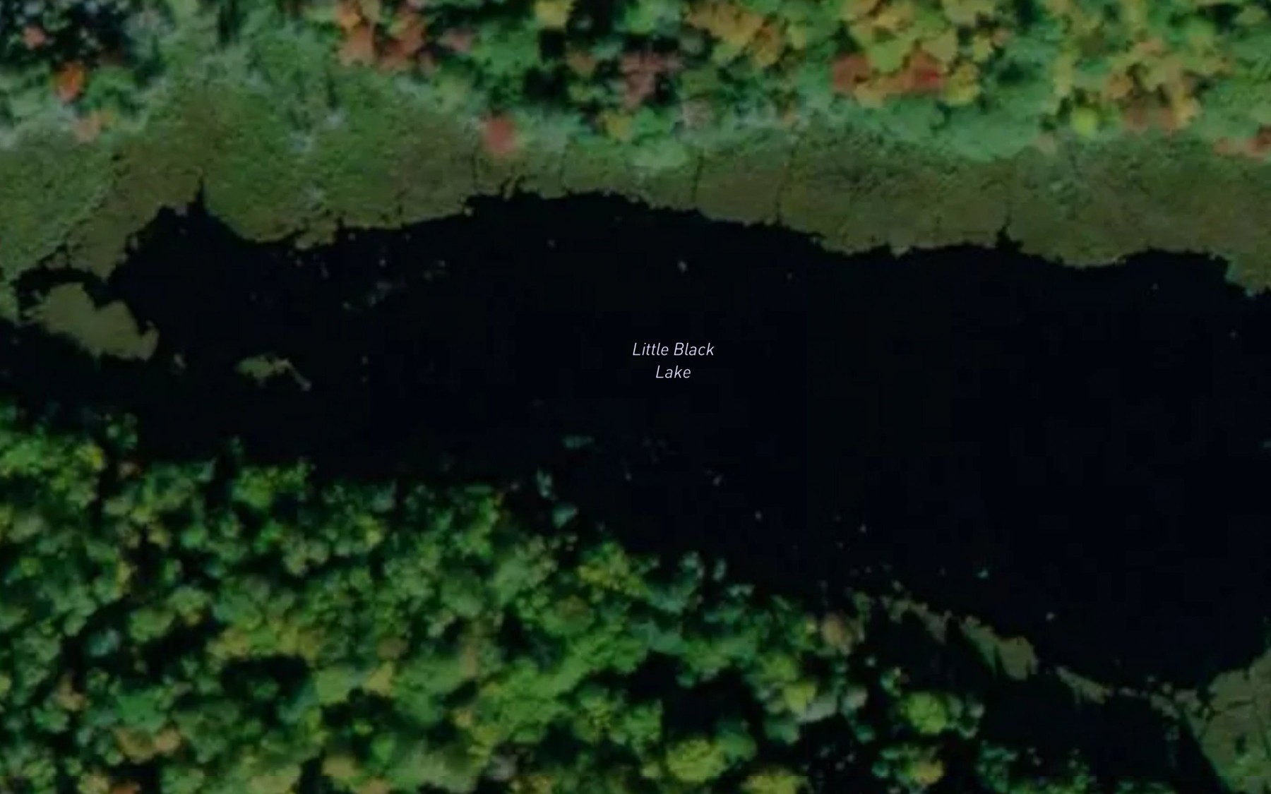 Satellite map of the Little Black Lake