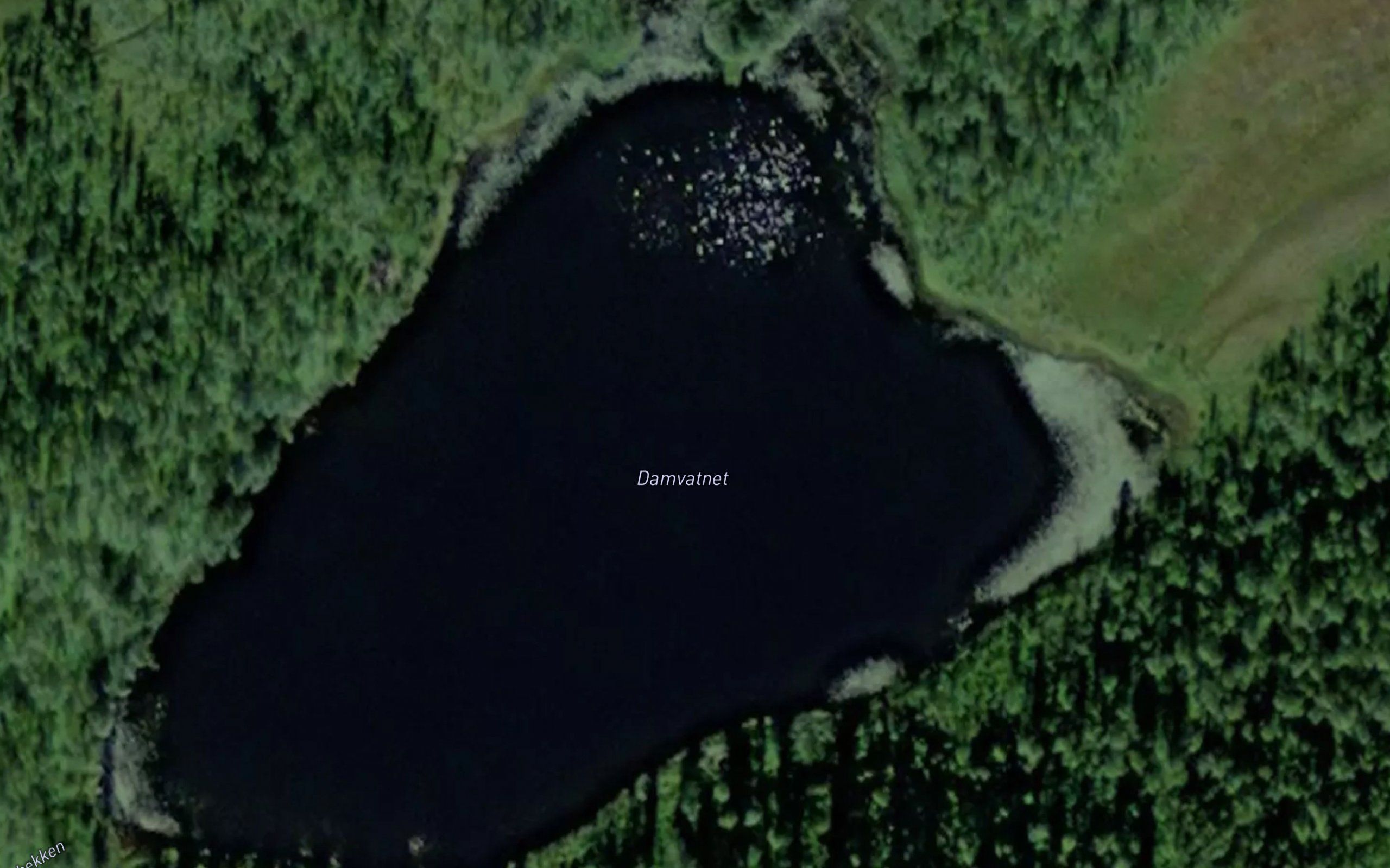 Damvatnet
