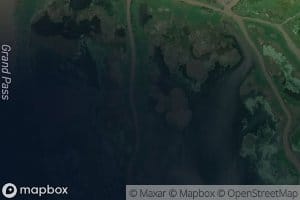 Locust Pond (historical)