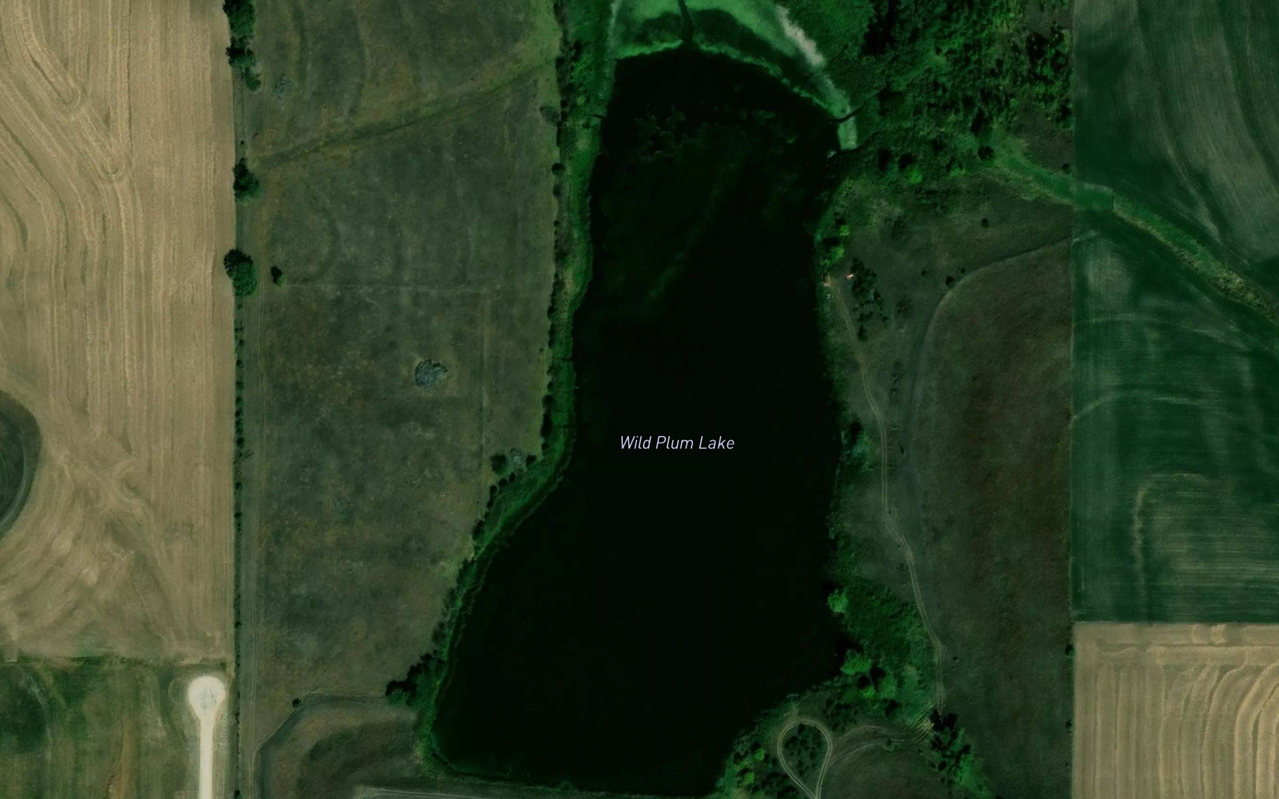 Wild Plum Lake