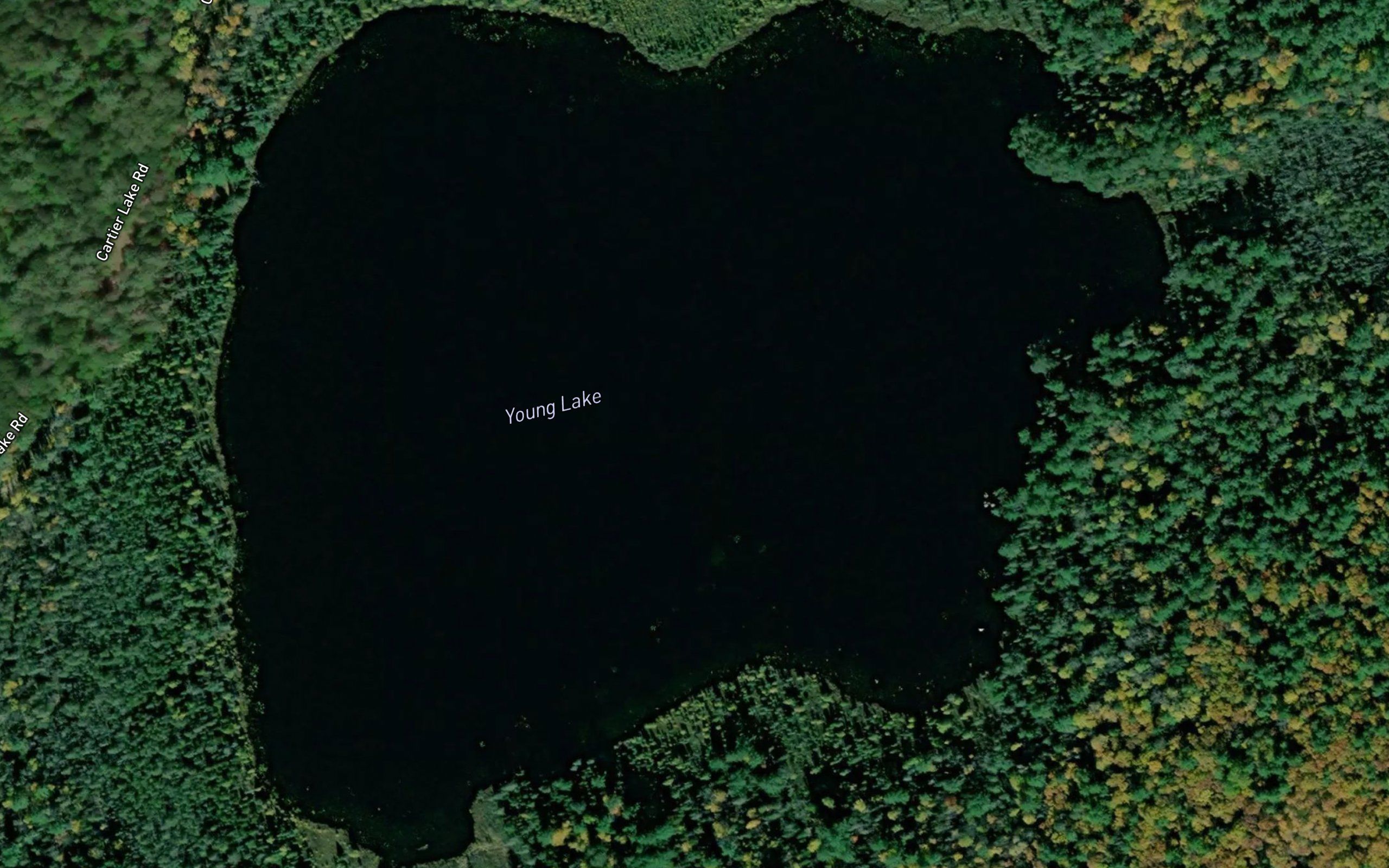 Young Lake