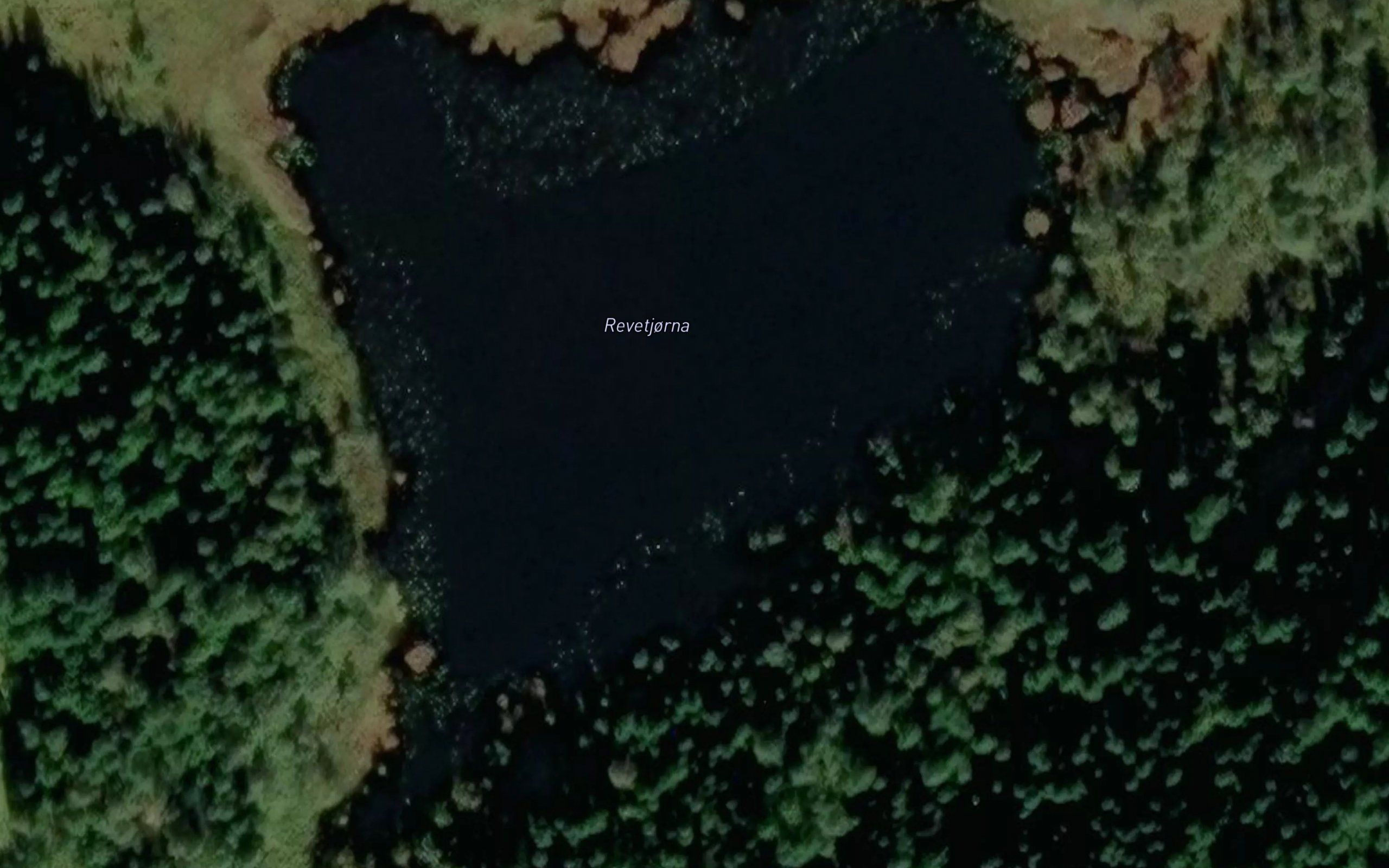 Revetjonn