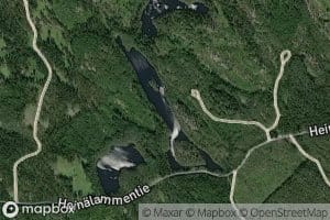 Haukilampi