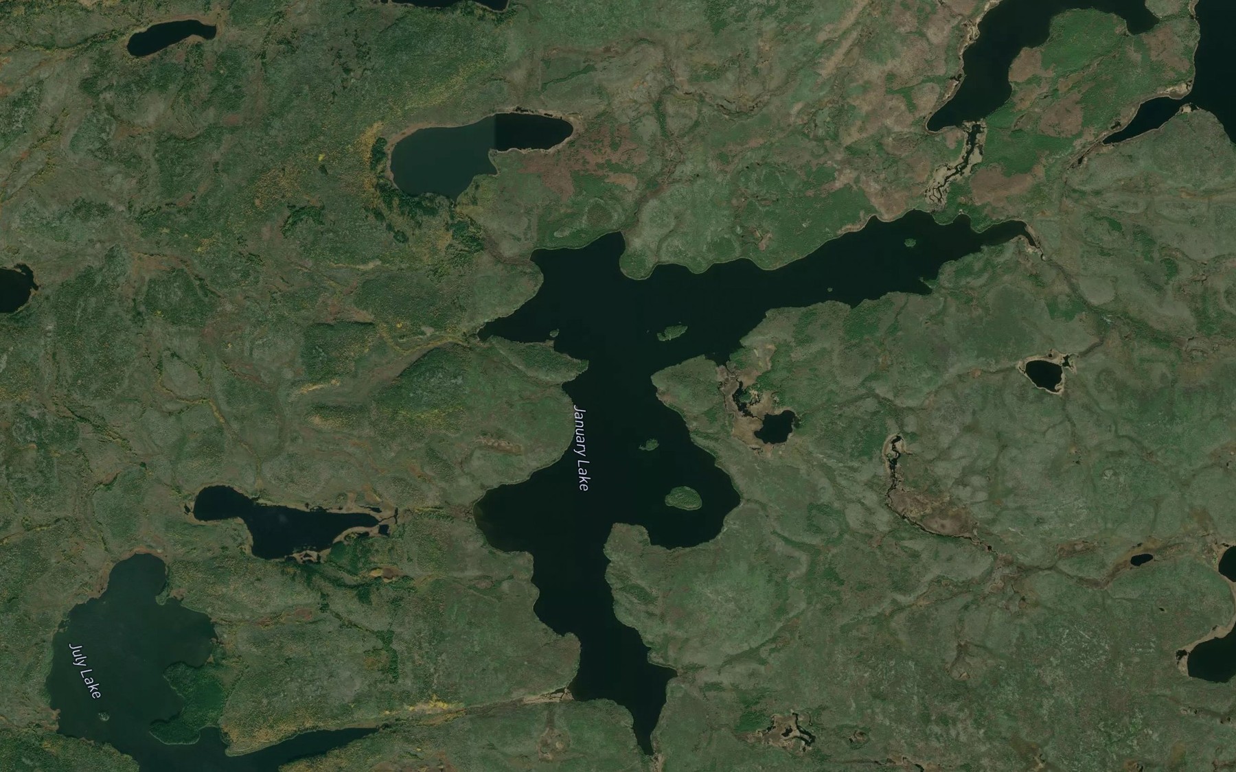 Satellite map of the January Lake