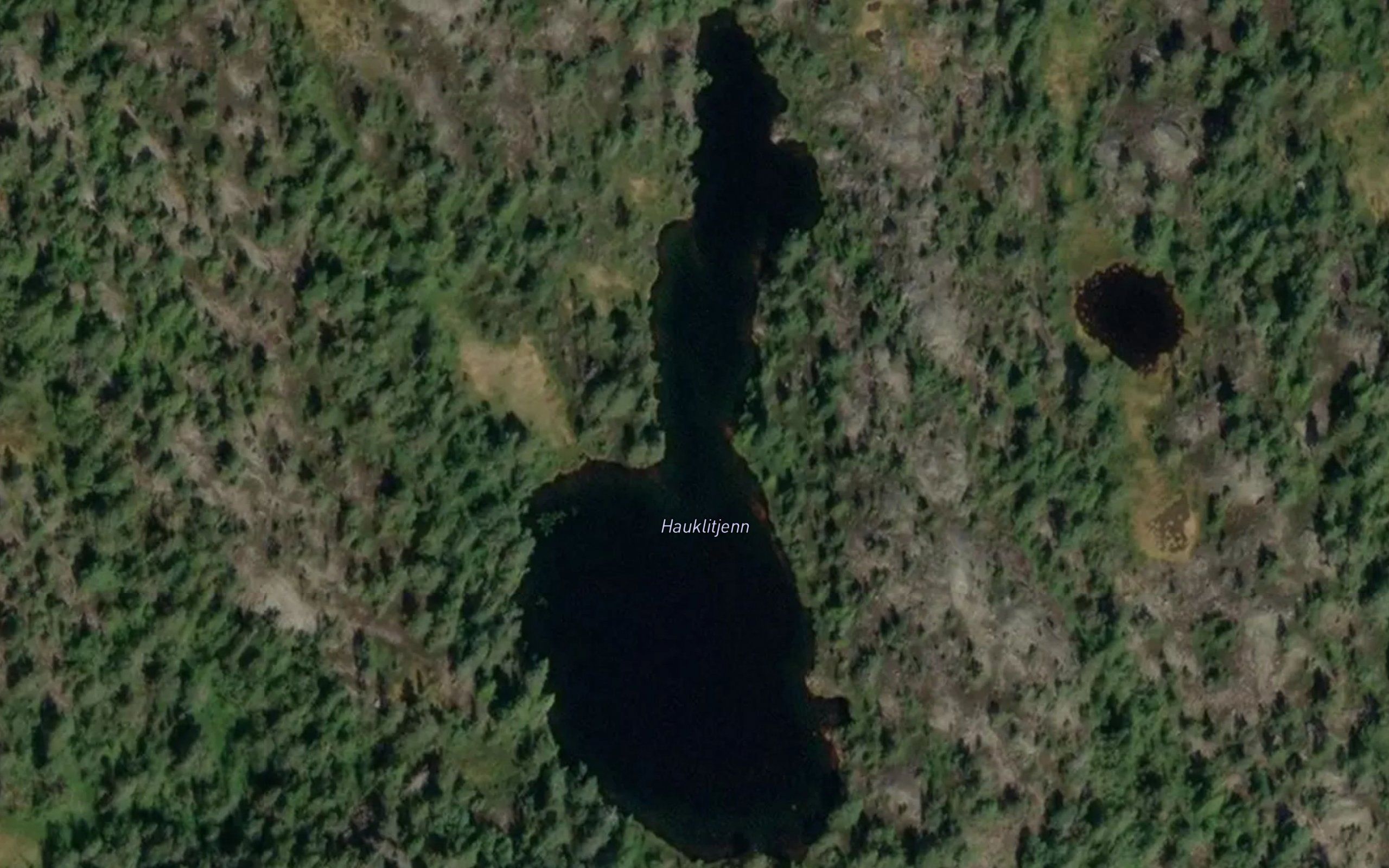 Haukelitjorna