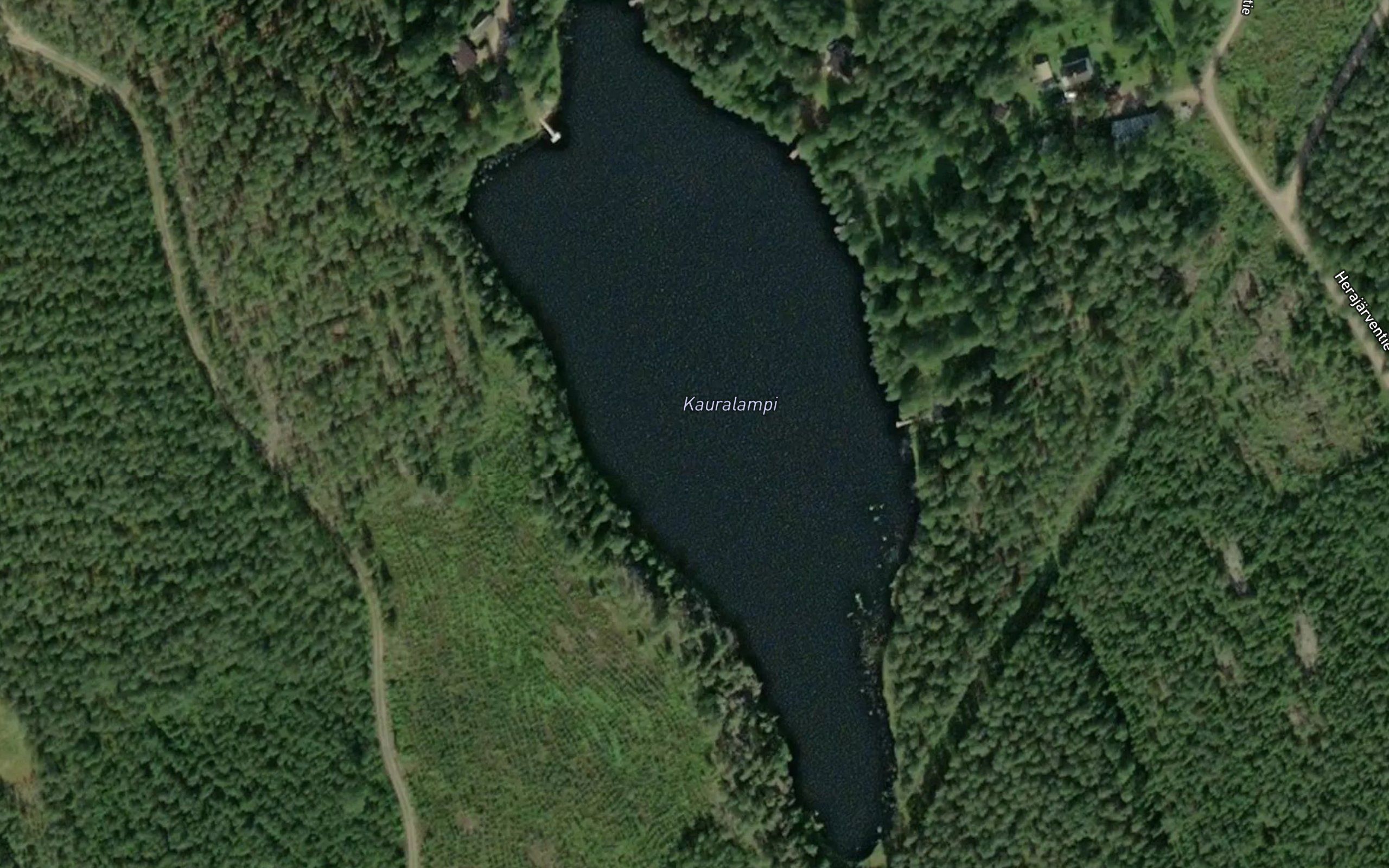 Kauralampi