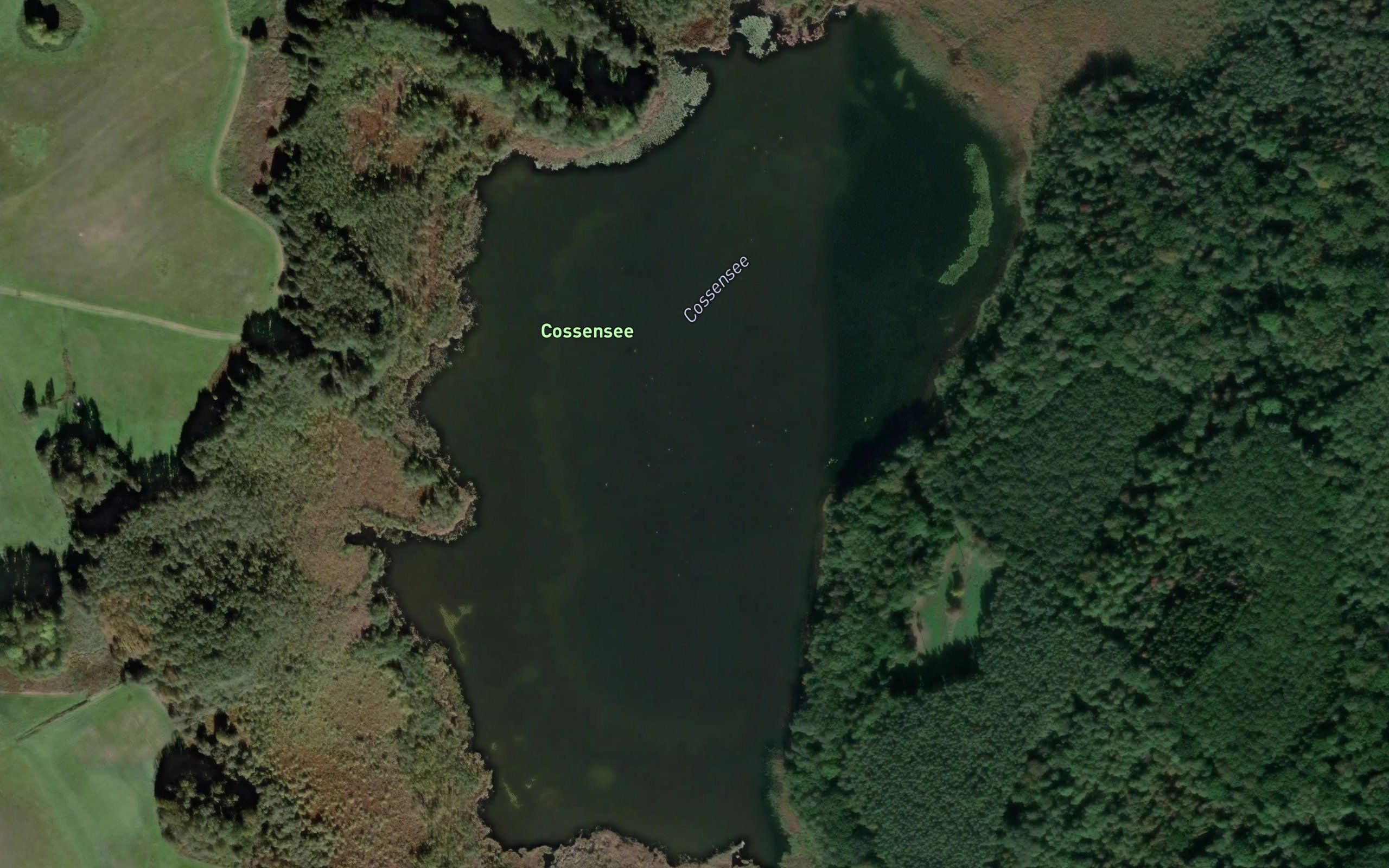 Cossensee