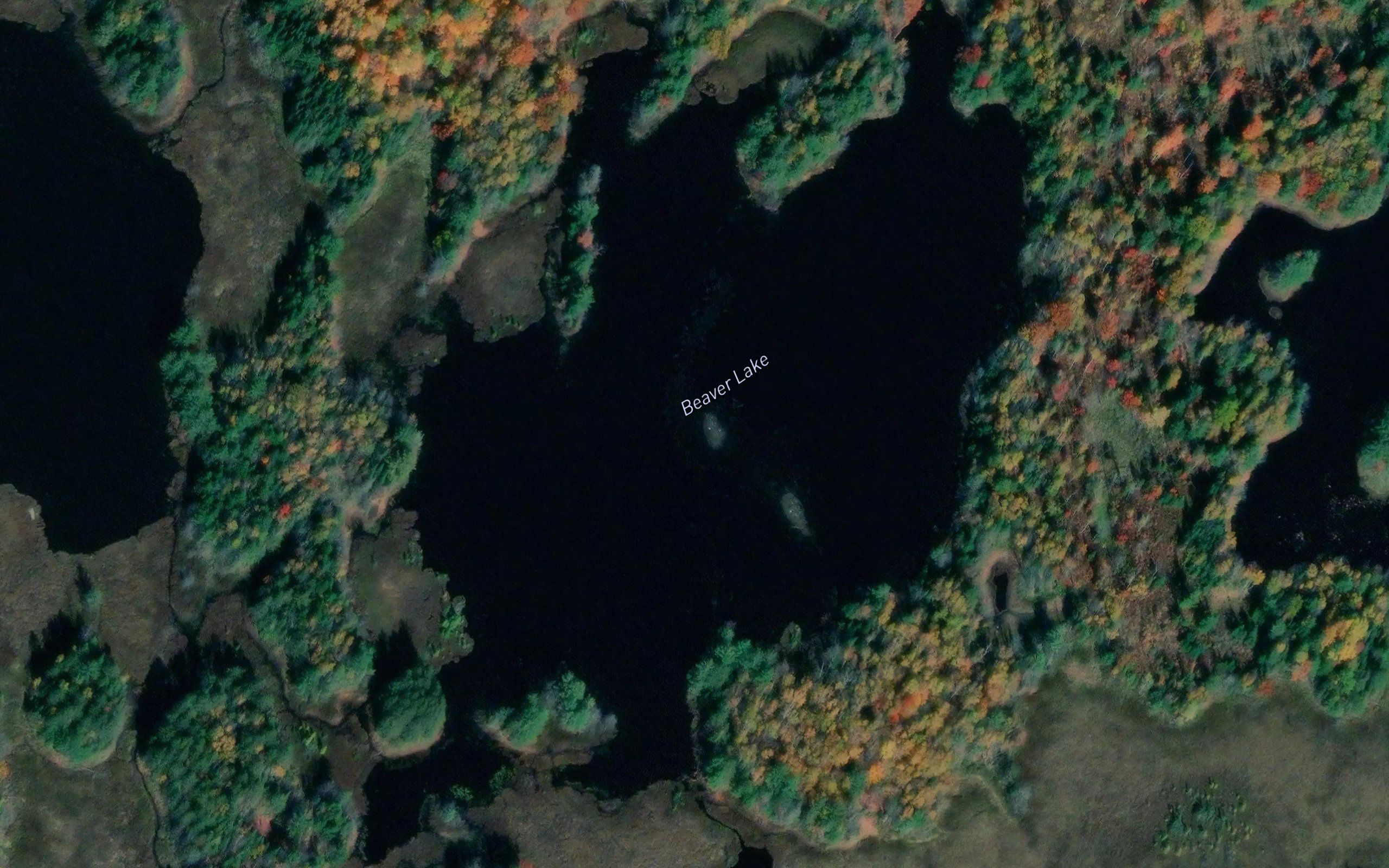 Beaver Lake