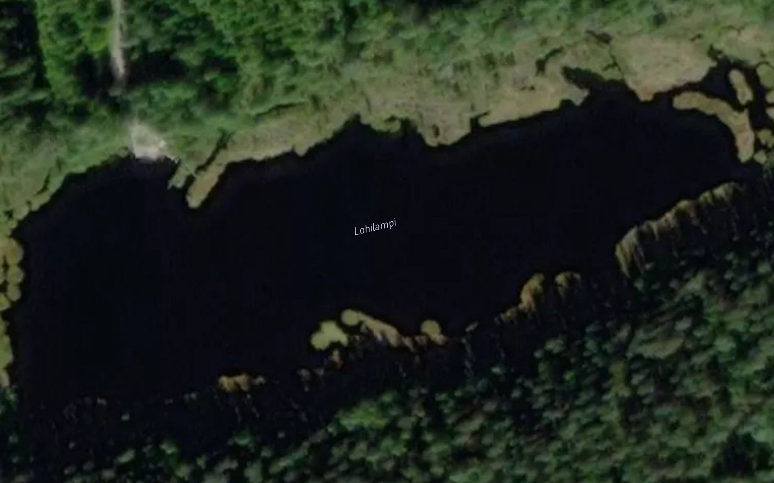 Lohilampi