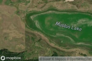 Mustus Lake