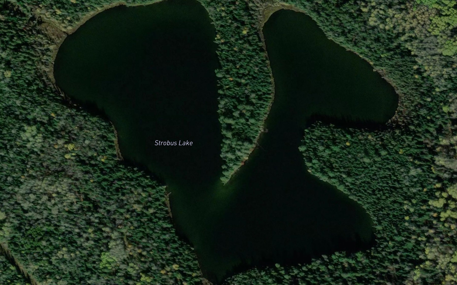 Satellite map of the Strobus Lake