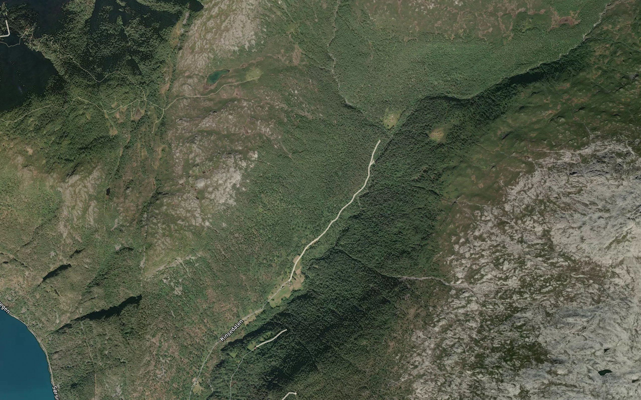 Fjellgrovi
