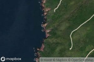 Carey Brook