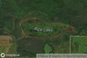 Rice Lake