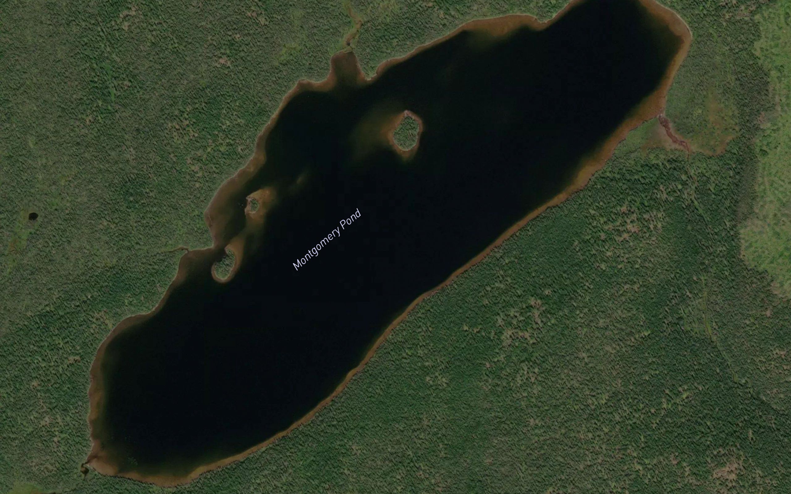 Montgomery Pond