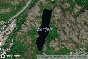 Abortjern