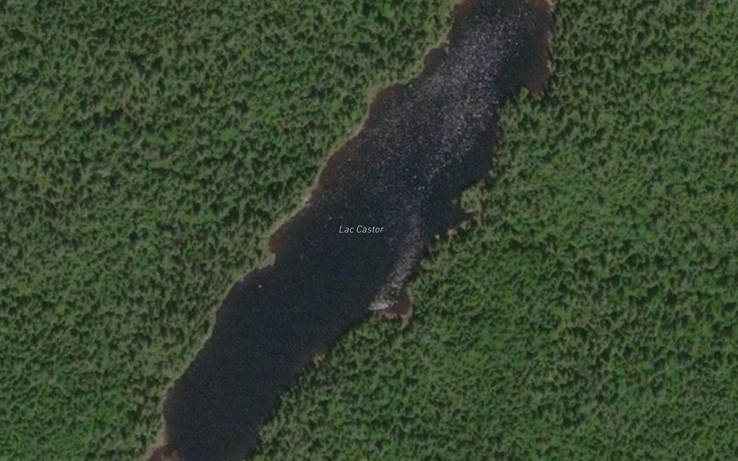 Lac Amical